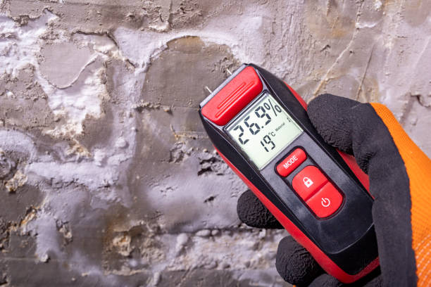 Best Crawl Space Mold Removal  in Cambridge, MN