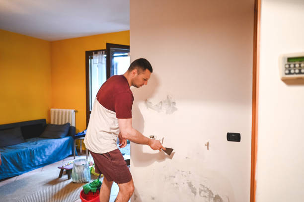Best Mold Remediation  in Cambridge, MN